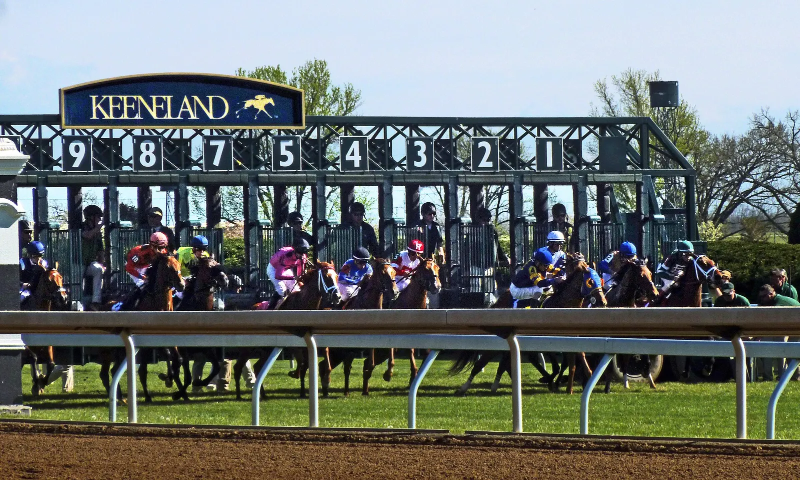 Horses break from the starting gate on the turf course at Keeneland in Lexington