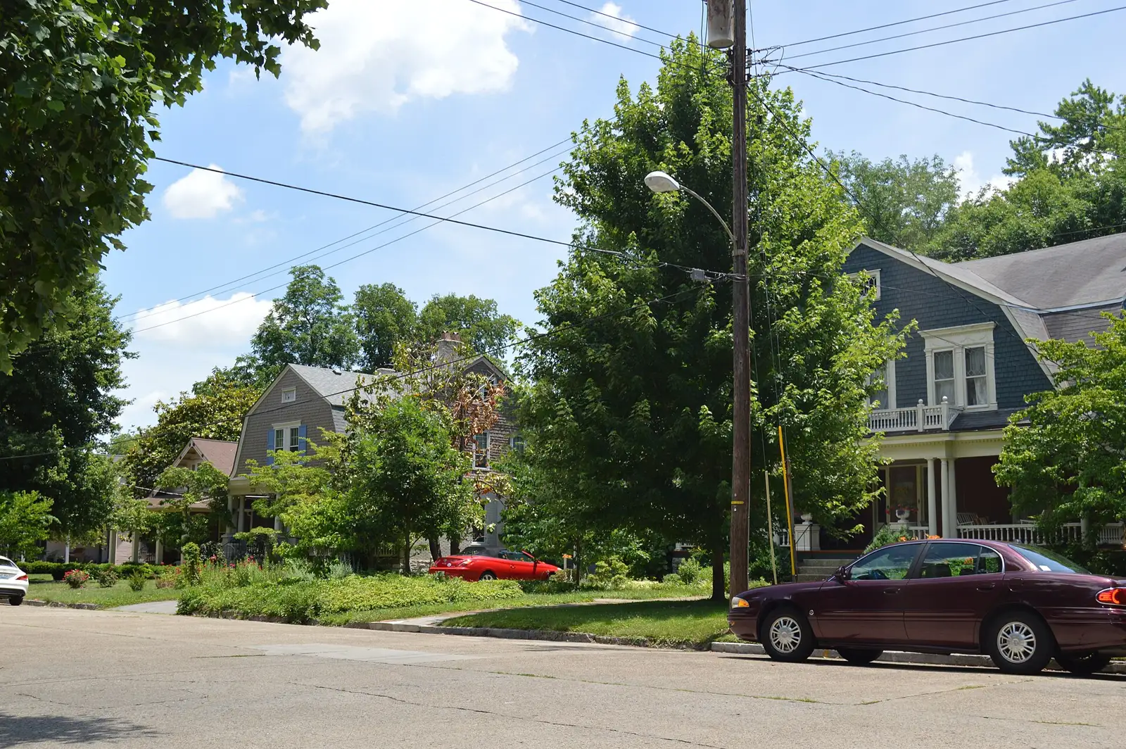 Houses and street trees on the south side of Elsmere Park in Lexington