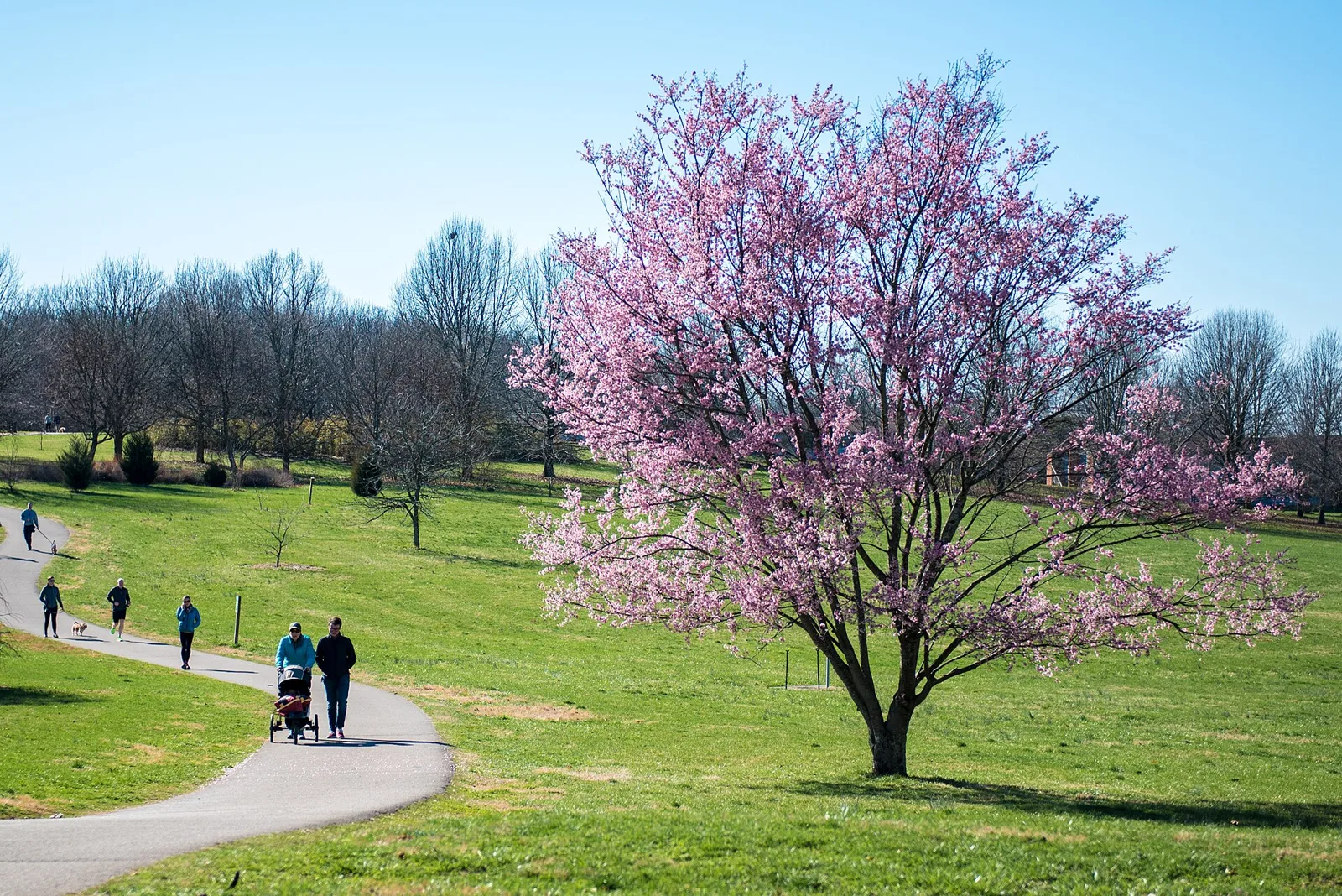 A walking trail at The Arboretum, State Botanical Garden of Kentucky, in Lexington