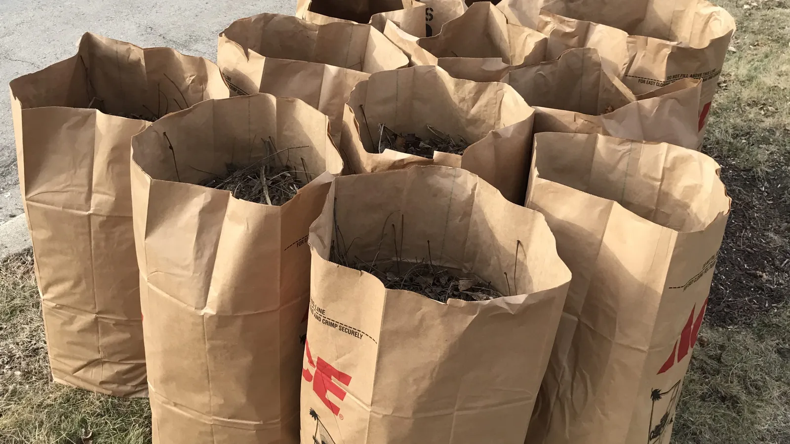 Paper yard waste bags set out at a curb, the kind the city collects. The picture is not from Lexington.