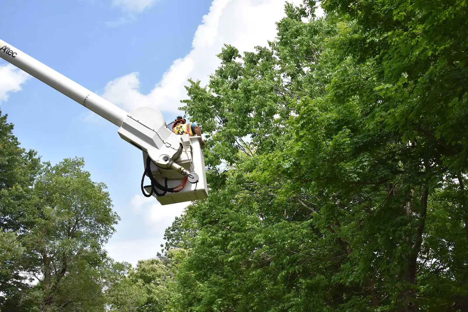 A worker in a bucket truck reaches into tree branches during a University of Kentucky Transportation Center training session