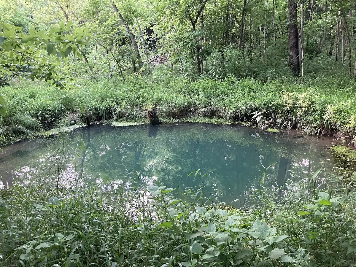 The Blue Hole, one of the artesian springs at McConnell Springs Park in Lexington