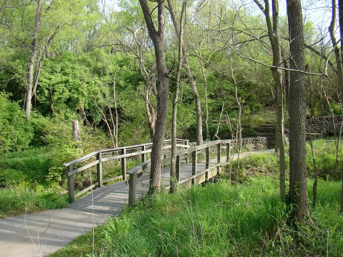 A footbridge on the trail through McConnell Springs Park in Lexington, where the city holds its Jack-O-Lantern Trail